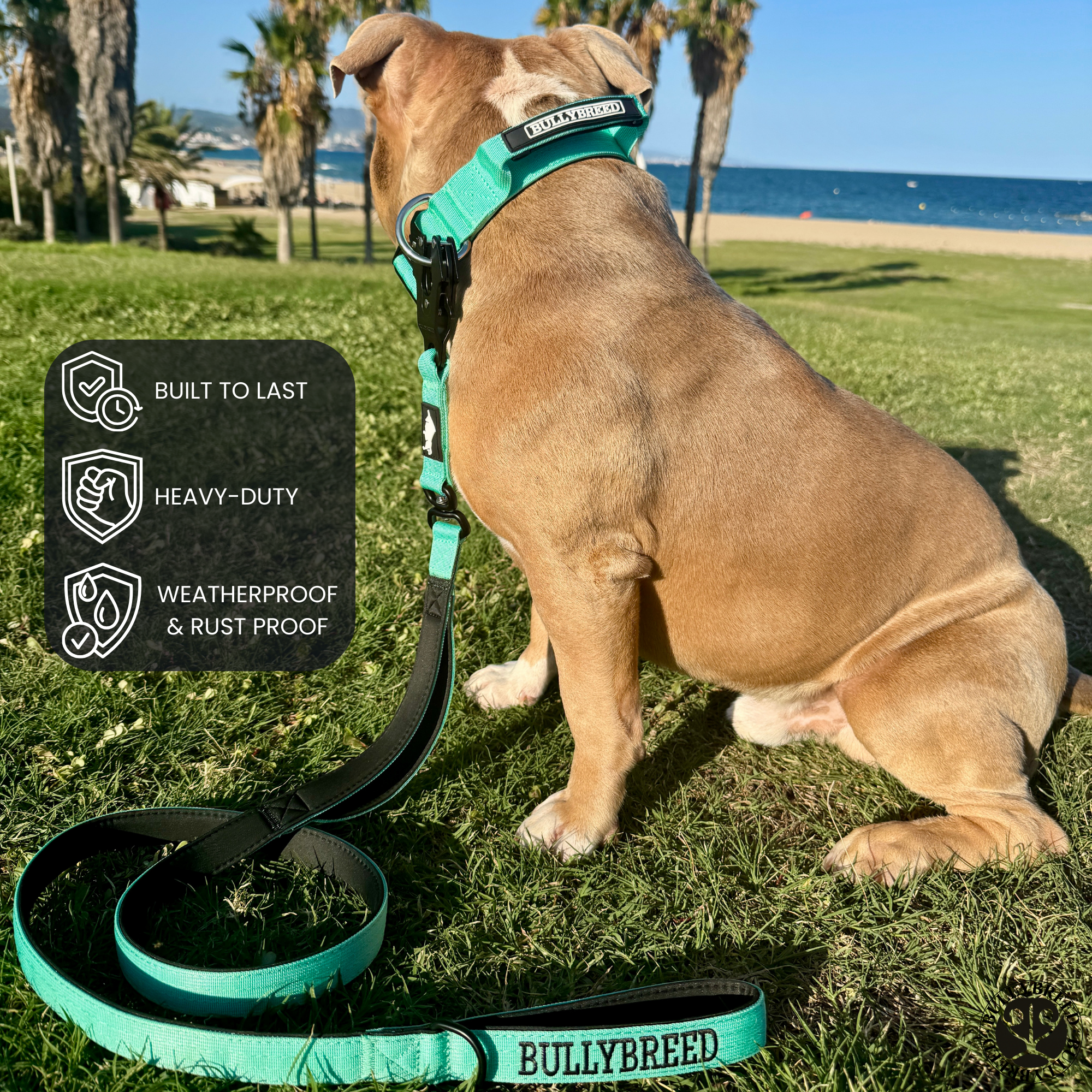 Double Handle Dog Leash 5 FT
