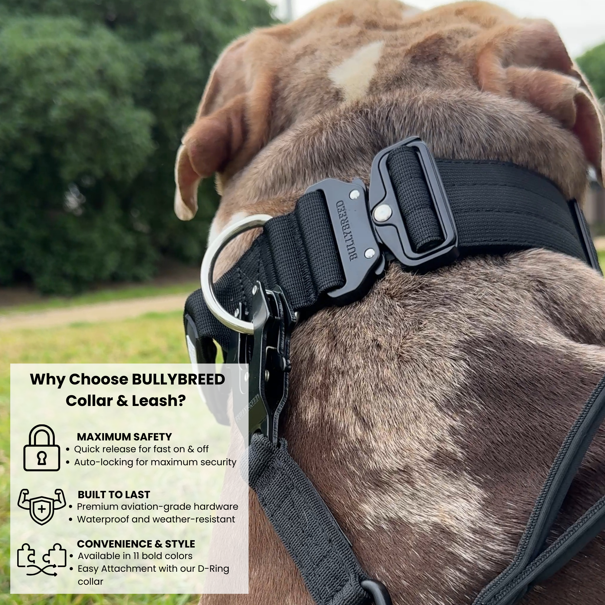 Heavy duty dog collar