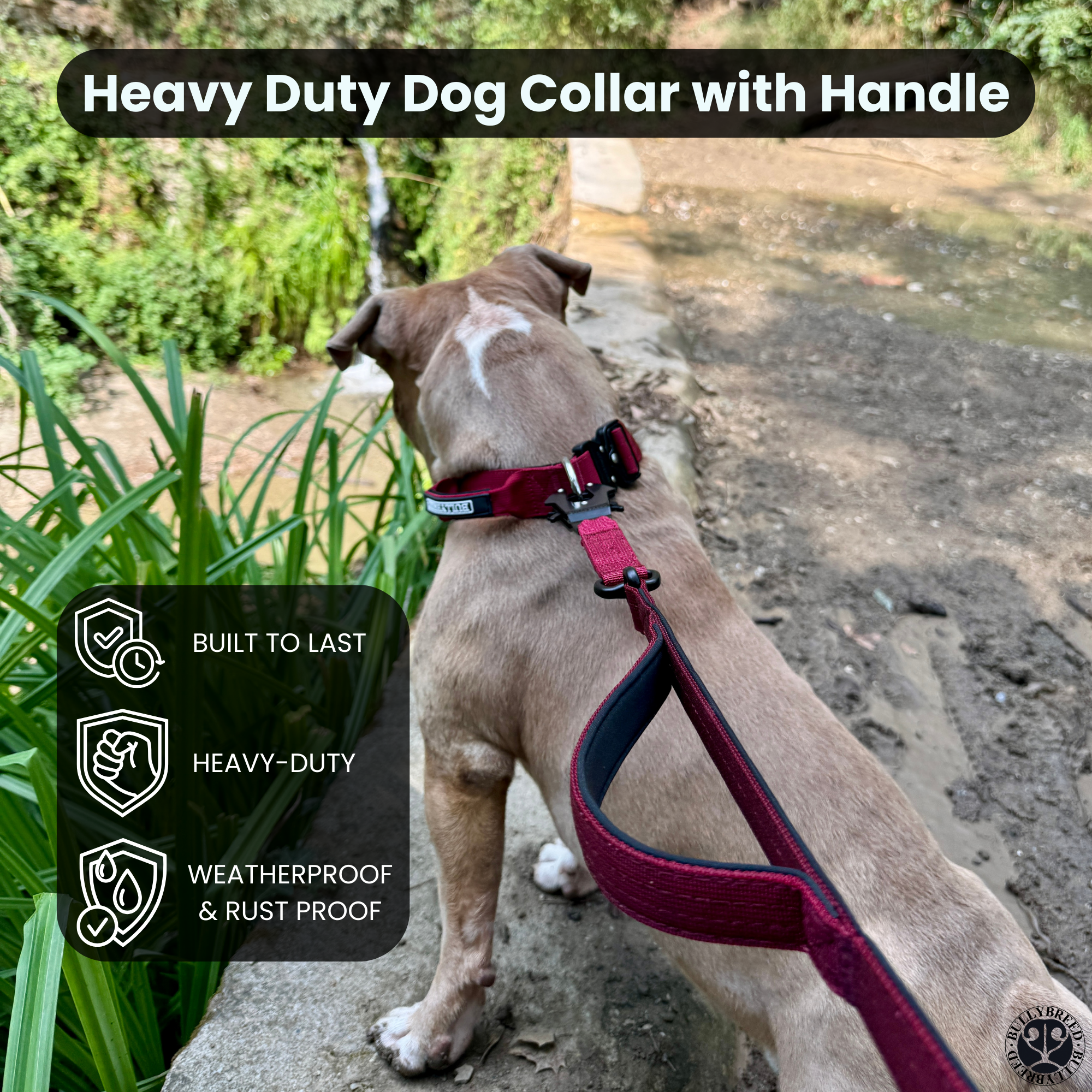 Double Handle Dog Leash 5 FT