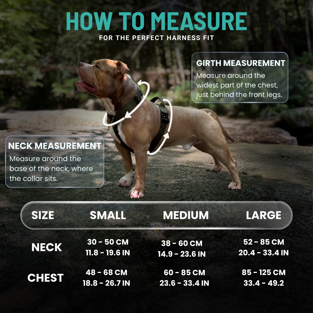 Heavy-Duty Y-Shaped Harness for Strong & Large Dogs