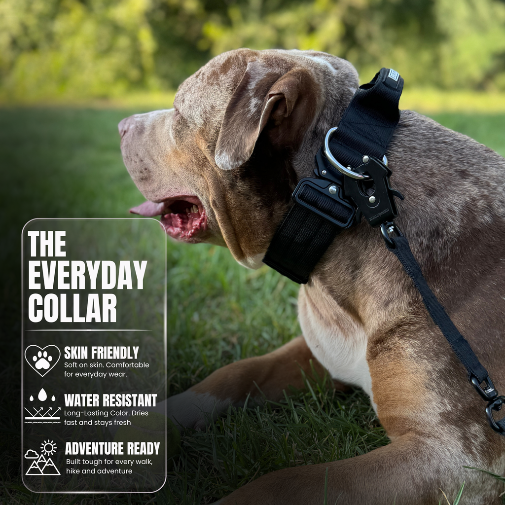 Heavy Duty Dog Collar with Handle - Black, Large