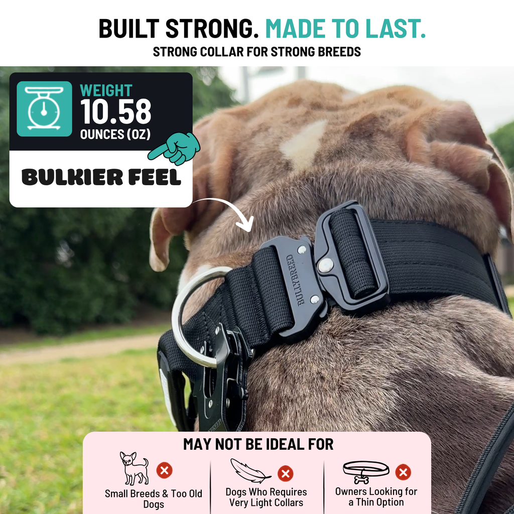 Heavy Duty Dog Collar with Handle - Black, Large