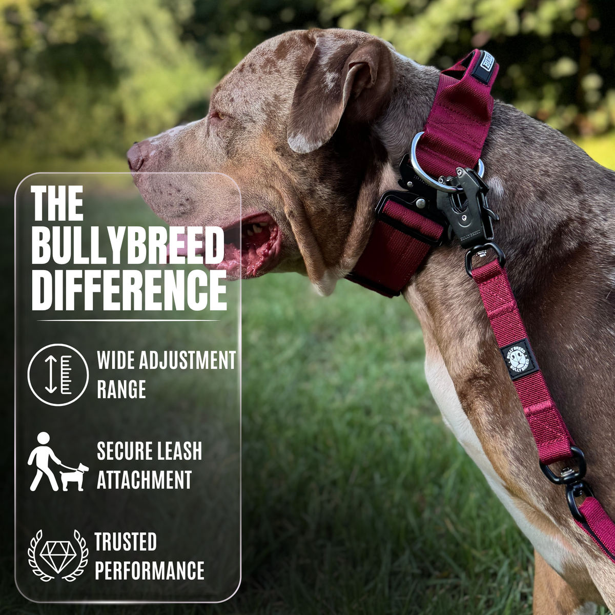 Heavy Duty Dog Collar with Handle - Red Maroon, Large
