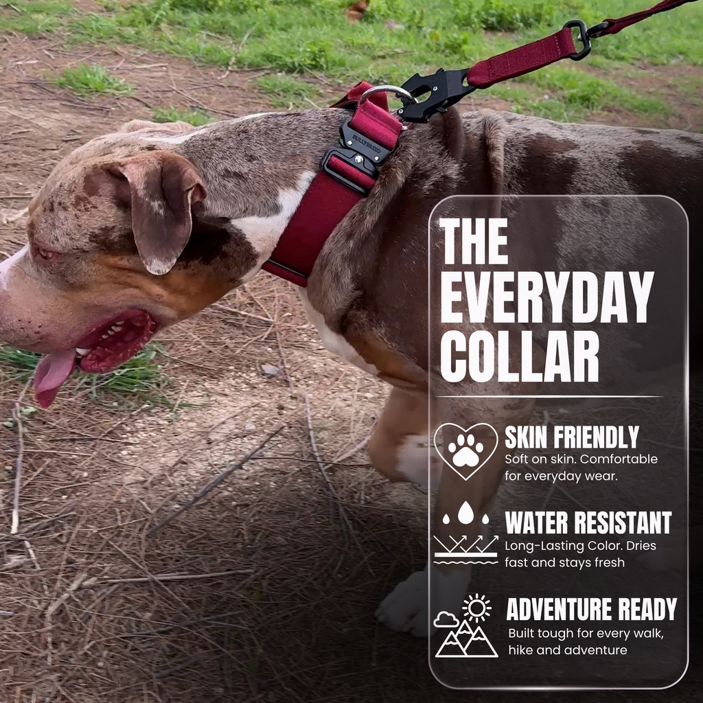 Heavy Duty Dog Collar with Handle - Red Maroon, Large