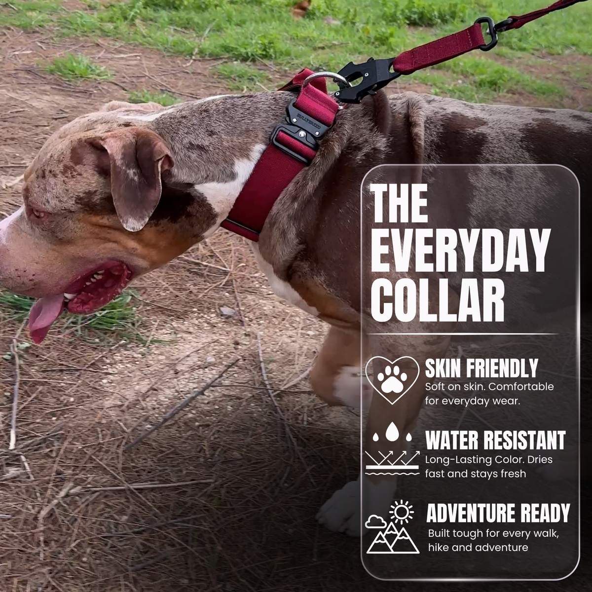 Heavy Duty Dog Collar with Handle - Red Maroon, Large