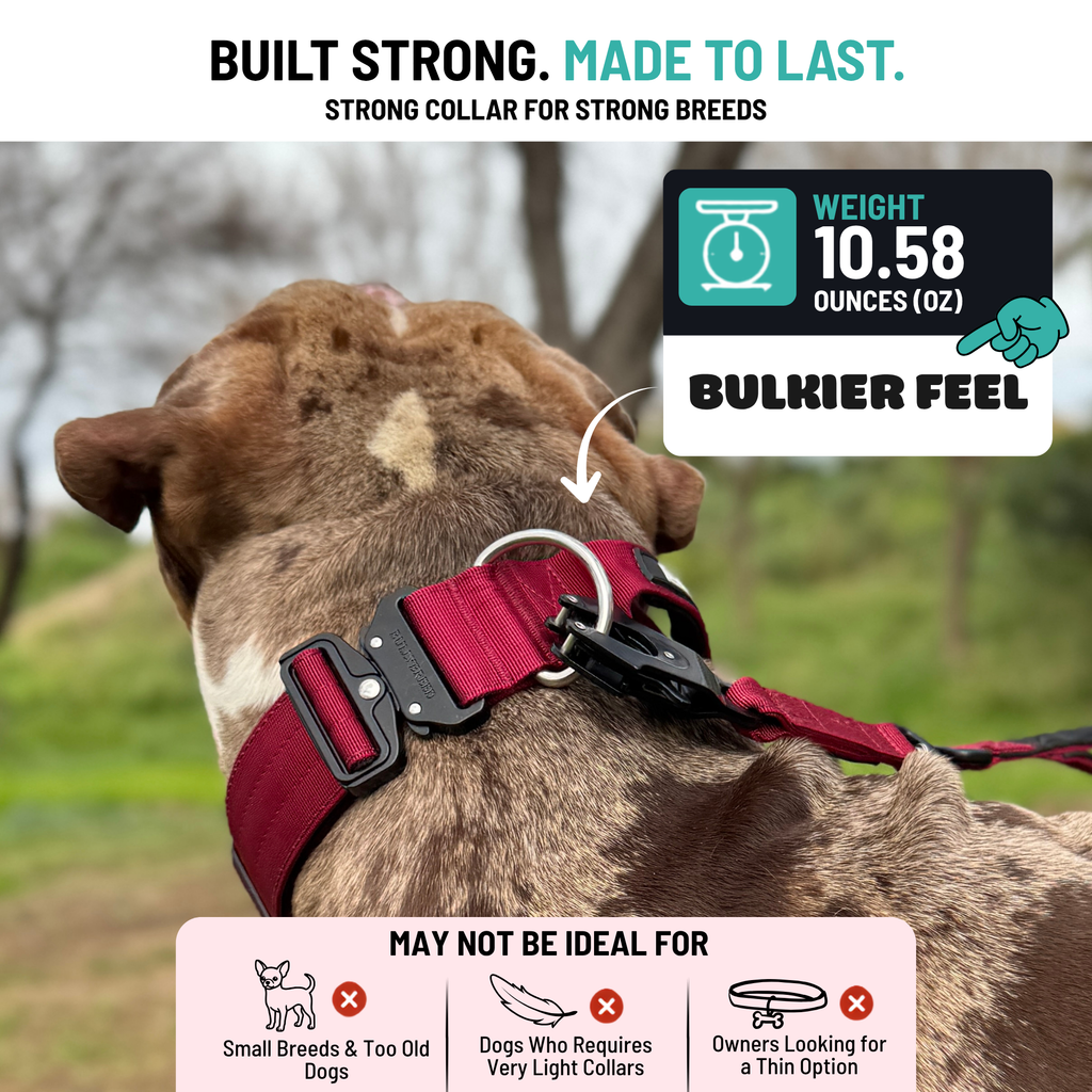 Heavy Duty Dog Collar with Handle - Red Maroon, Large