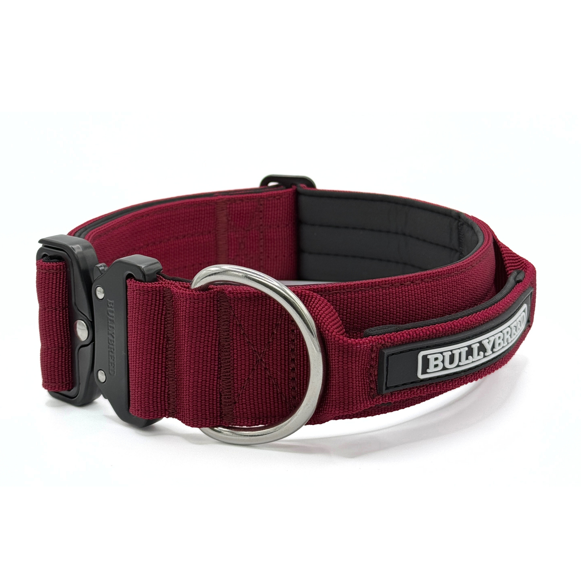 Large Dog Collar with Handle Width 2" | Adjustable Length 17.7-25.6 in