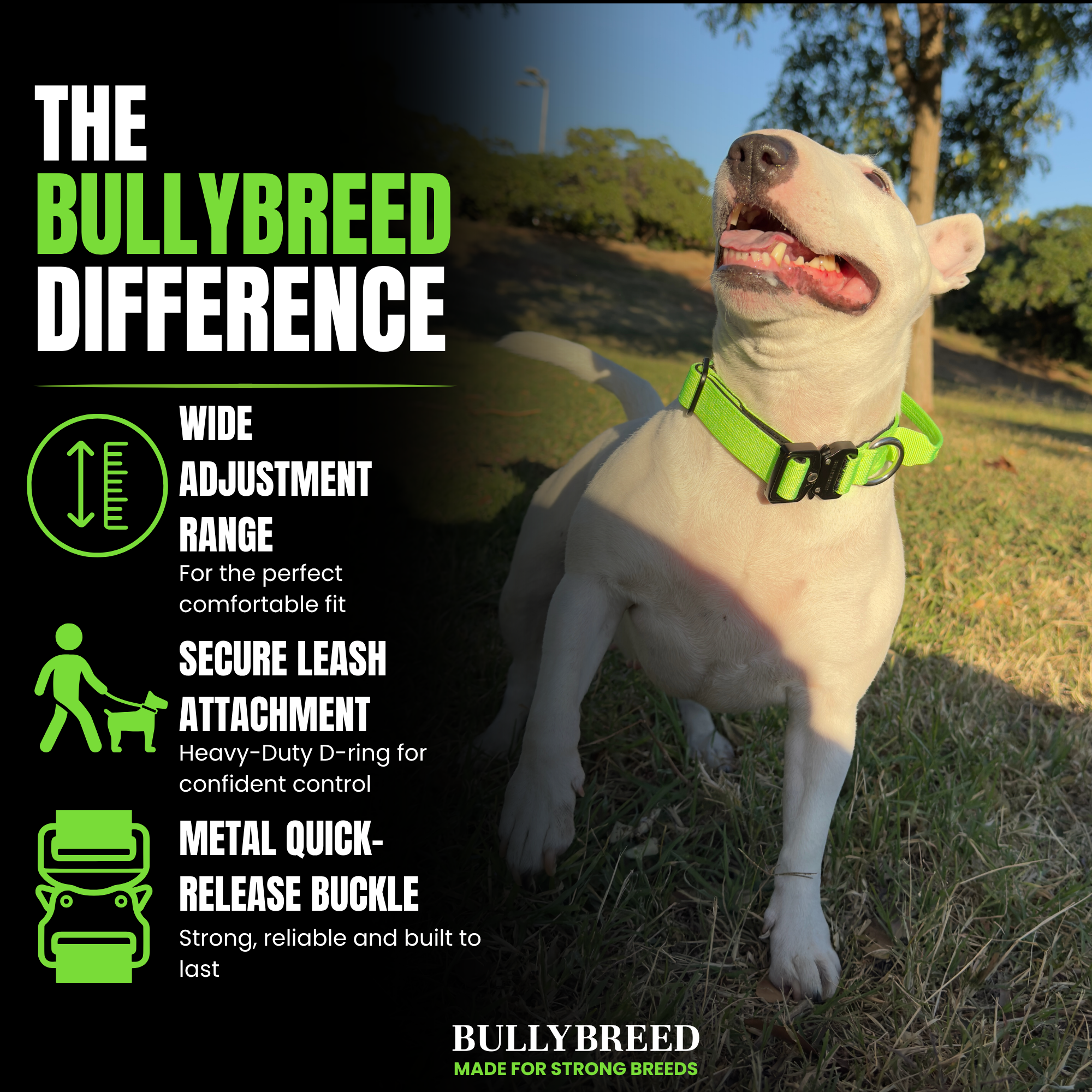 Tactical collar for small dogs