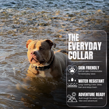 Medium 1.5 inch heavy duty dog collar with handle