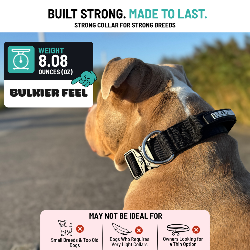 Heavy Duty Dog Collar with Handle - Black, Medium