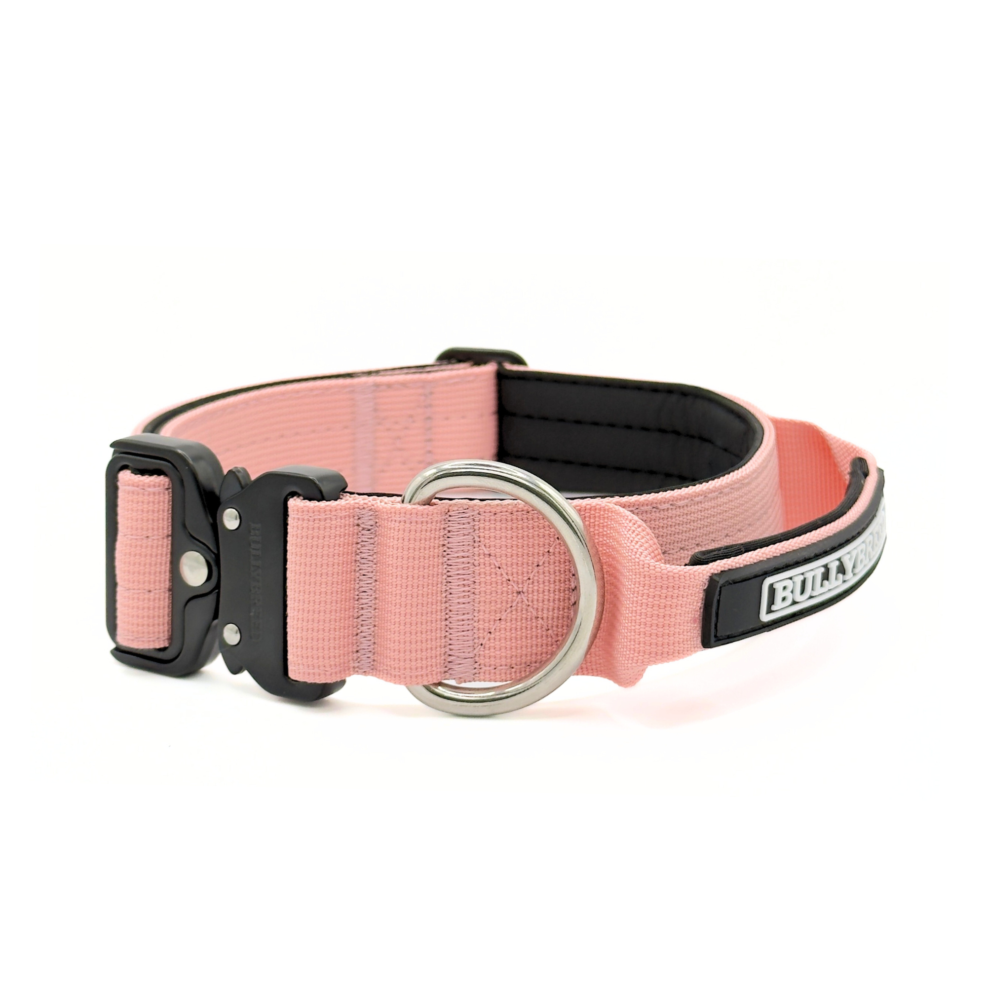 Medium Dog Collar with Handle Width 1.5" | Adjustable Length 16.9-22.8 in