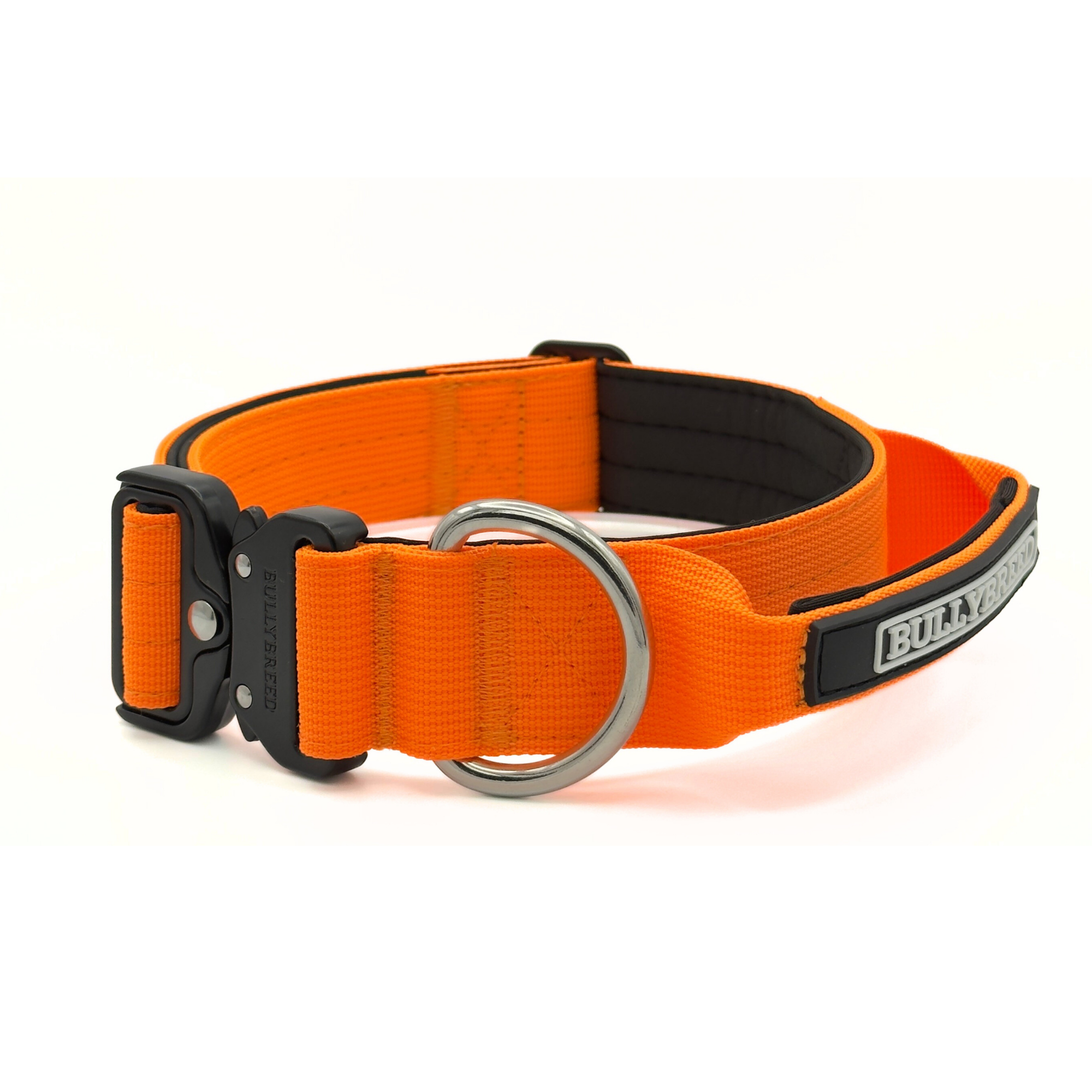 Medium Dog Collar with Handle Width 1.5" | Adjustable Length 16.9-22.8 in