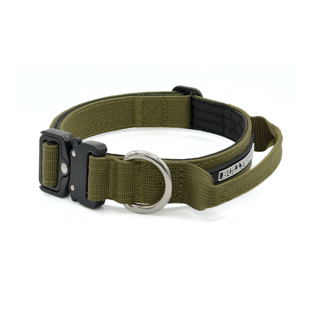 green dog collar for puppies