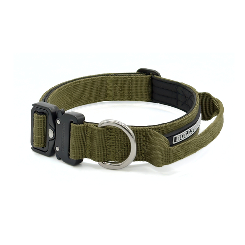 Small Dog Collar with Handle Width 1" | Adjustable Length 13.3-18.1 in