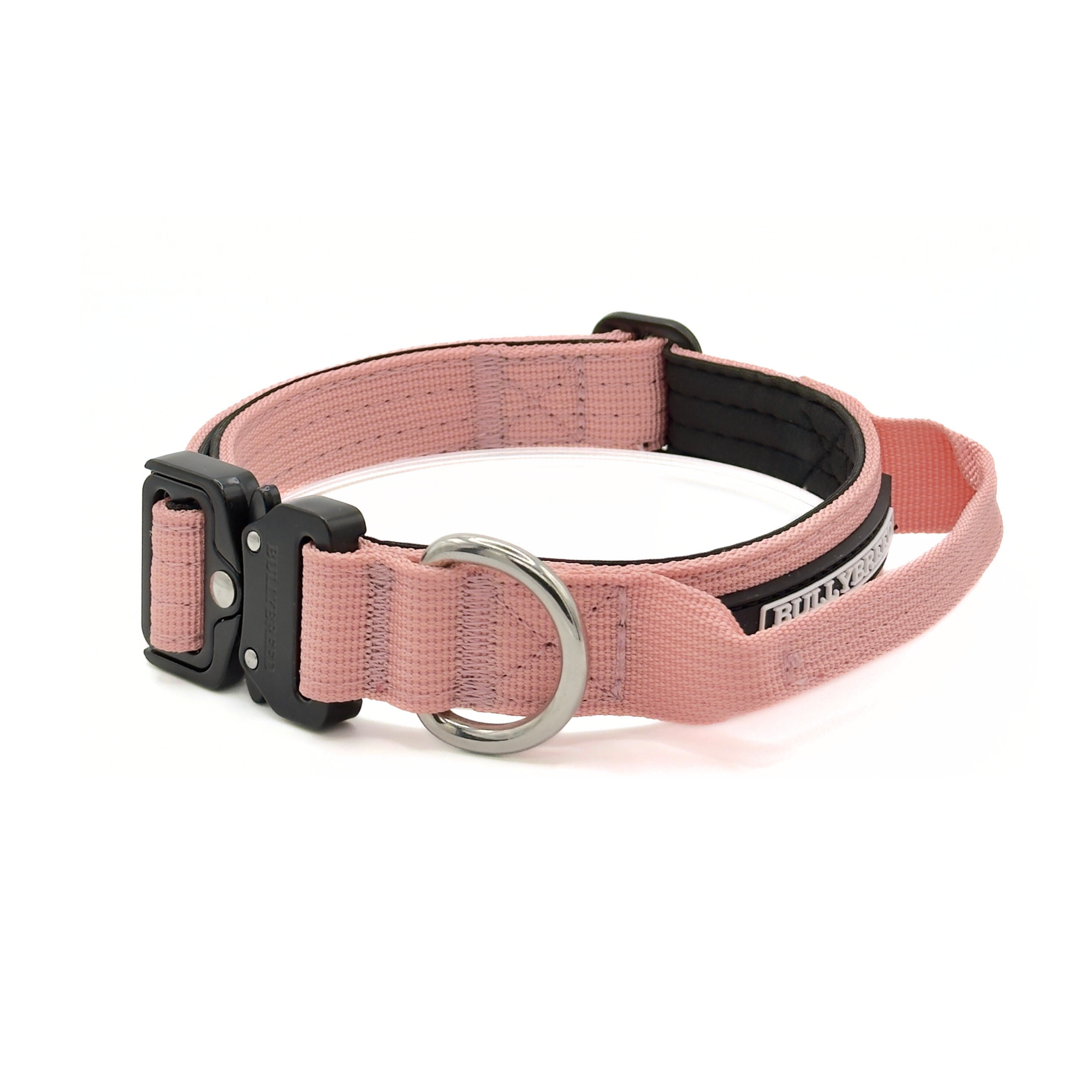 Small Dog Collar with Handle Width 1" | Adjustable Length 13.3-18.1 in
