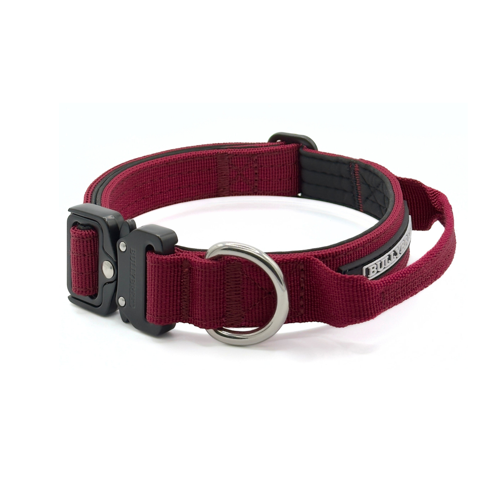 Maroon red dog collar for puppies