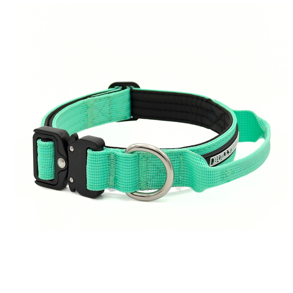 Aquamarine dog collar for puppies