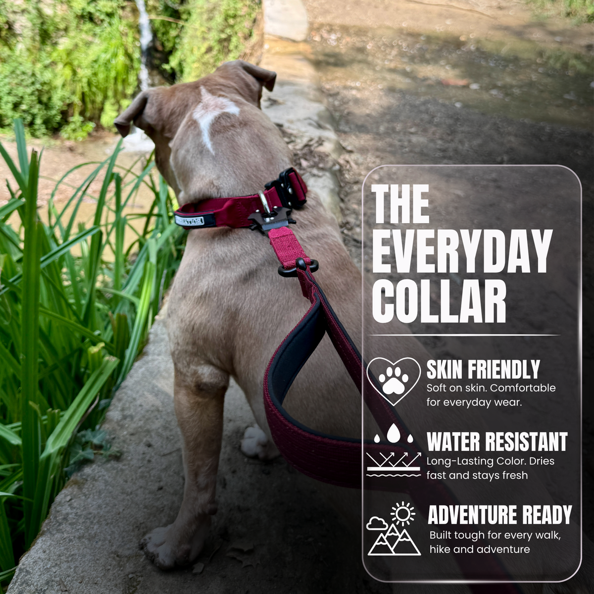Heavy Duty Dog Collar with Handle - Red Maroon, Medium
