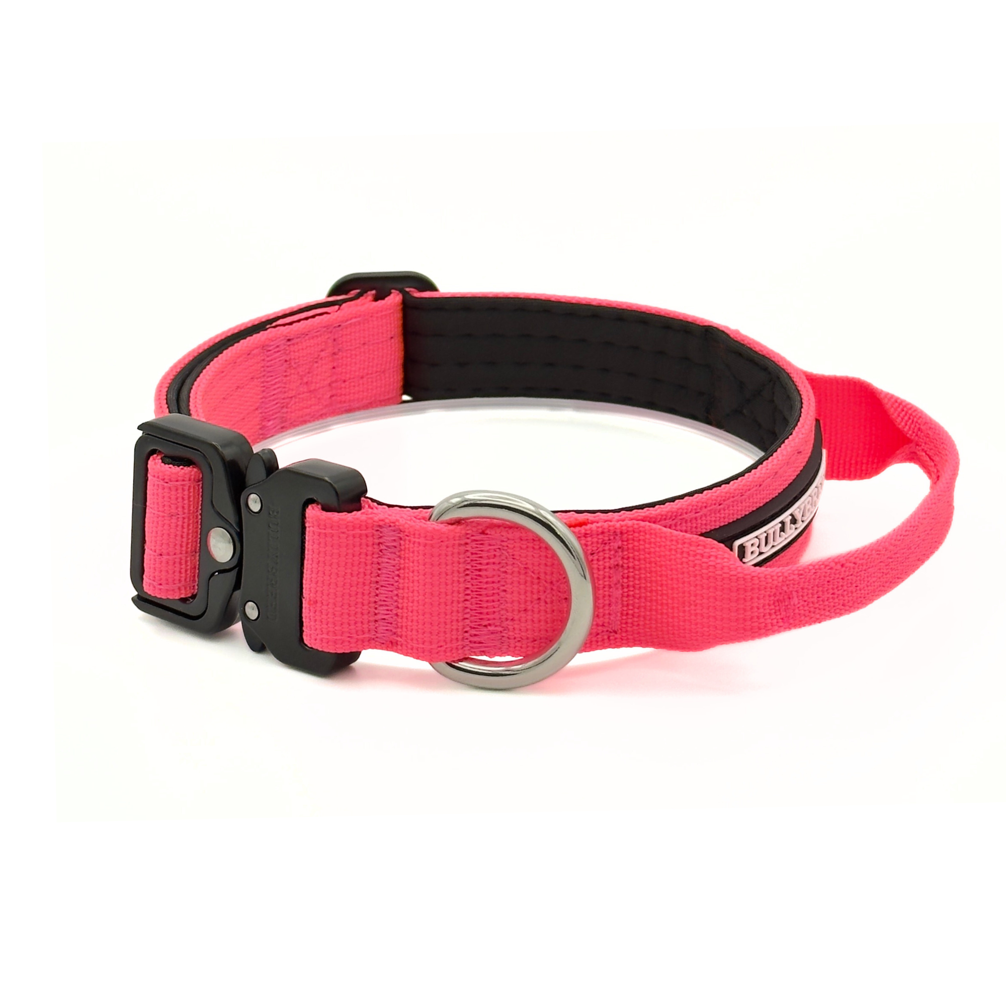 Small Dog Collar with Handle Width 1" | Adjustable Length 13.3-18.1 in