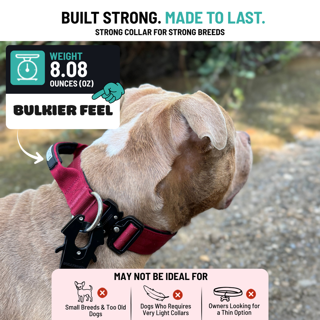 Heavy Duty Dog Collar with Handle - Red Maroon, Medium