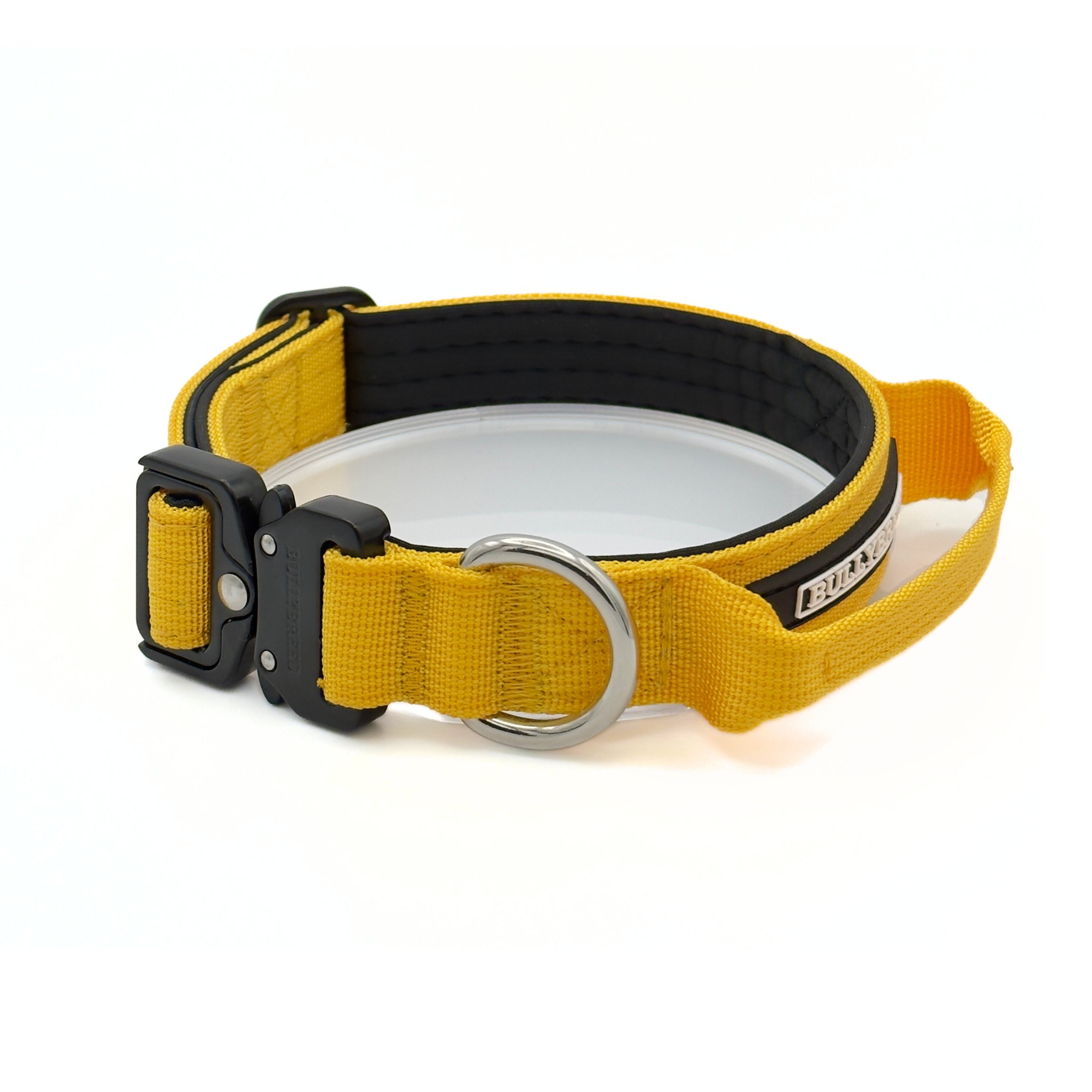 Small Dog Collar with Handle Width 1" | Adjustable Length 13.3-18.1 in