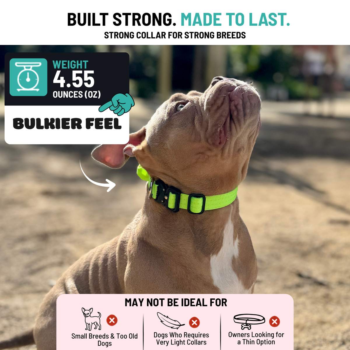 Heavy Duty Dog Collar with Handle | Small 1" (2.5 cm)