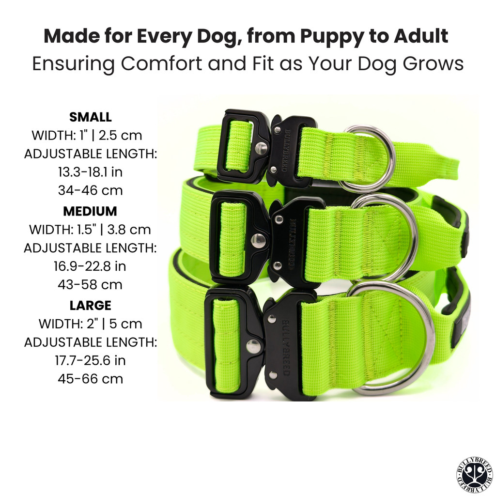 BULLYBREED Premium Collar & Leash Set | Now Available in Neon Green