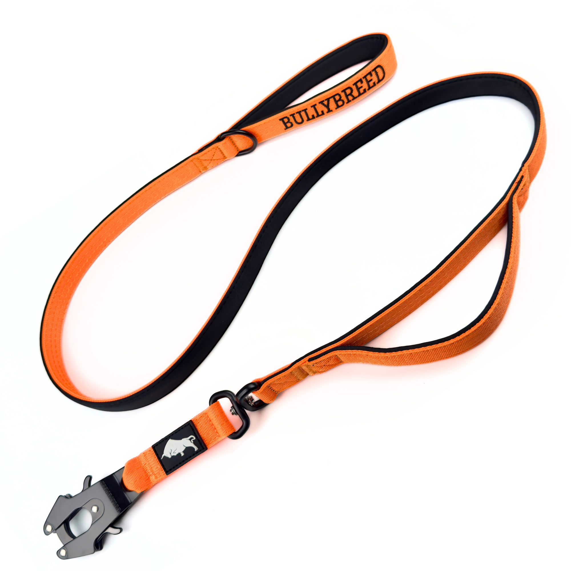 Double Handle Dog Leash 5 FT