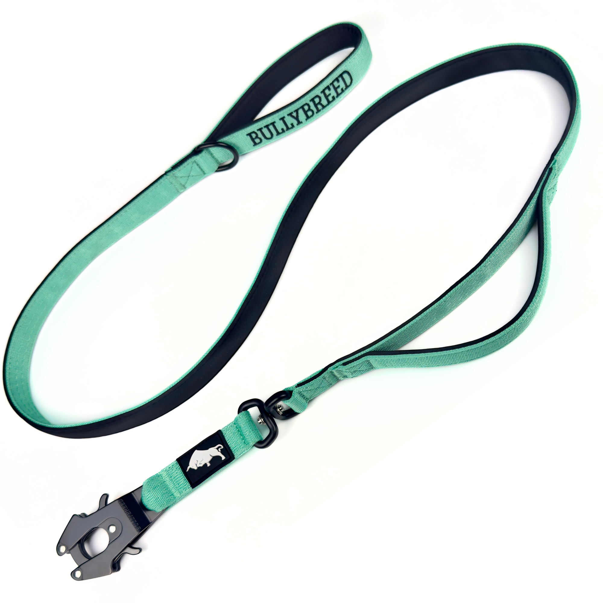 Double Handle Dog Leash 5 FT