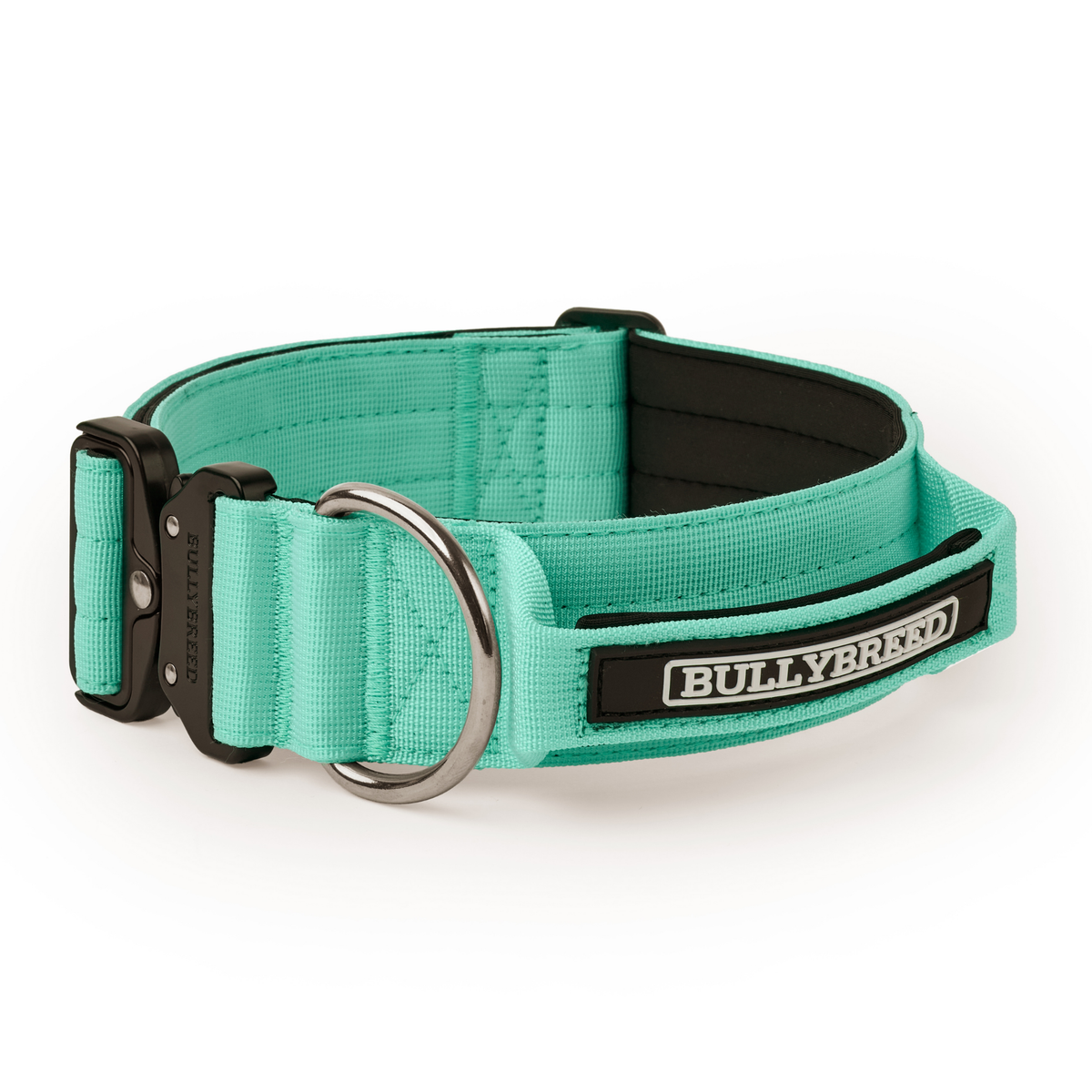 Heavy Duty Dog Collar with Handle | Large 2" (5 cm)