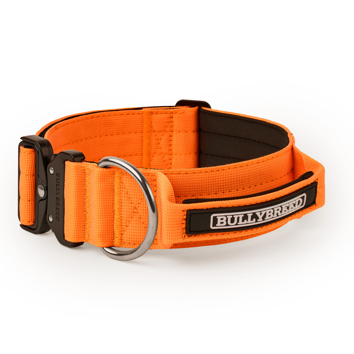Heavy Duty Dog Collar with Handle | Large 2" (5 cm)