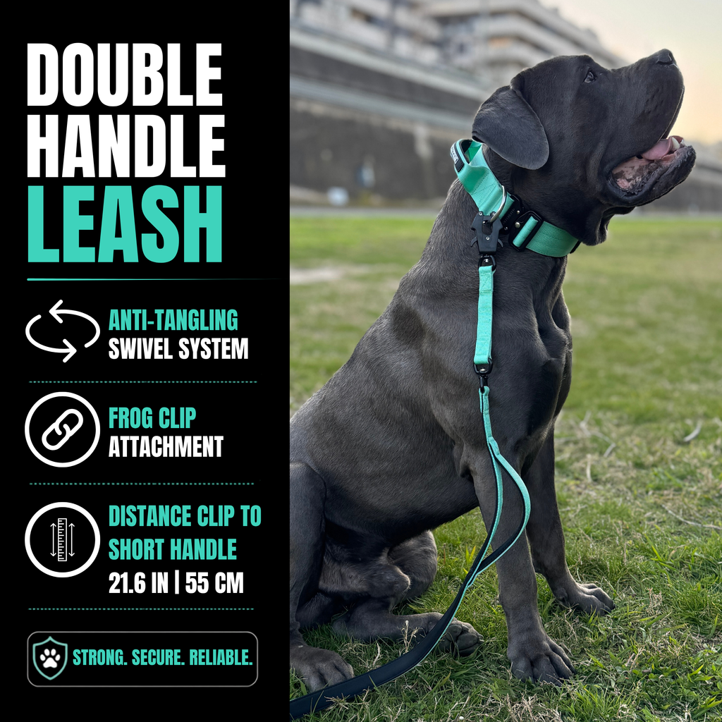 Heavy duty dog collar and double handle leash set