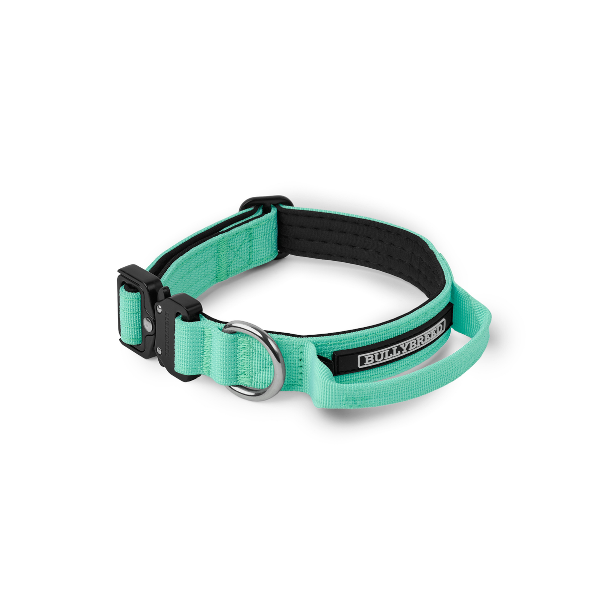 Heavy Duty Dog Collar with Handle | Small 1" (2.5 cm)