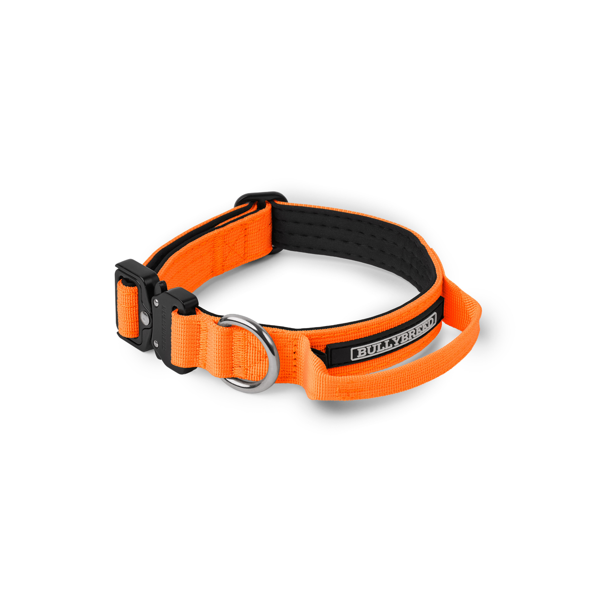 Heavy Duty Dog Collar with Handle | Small 1" (2.5 cm)