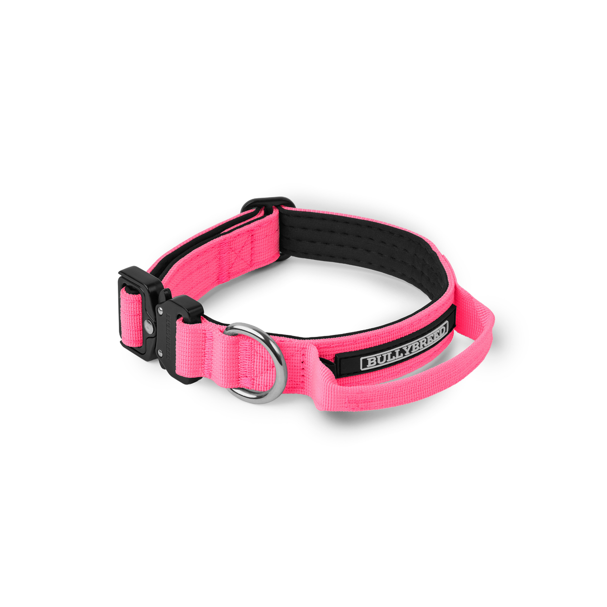 Heavy Duty Dog Collar with Handle | Small 1" (2.5 cm)