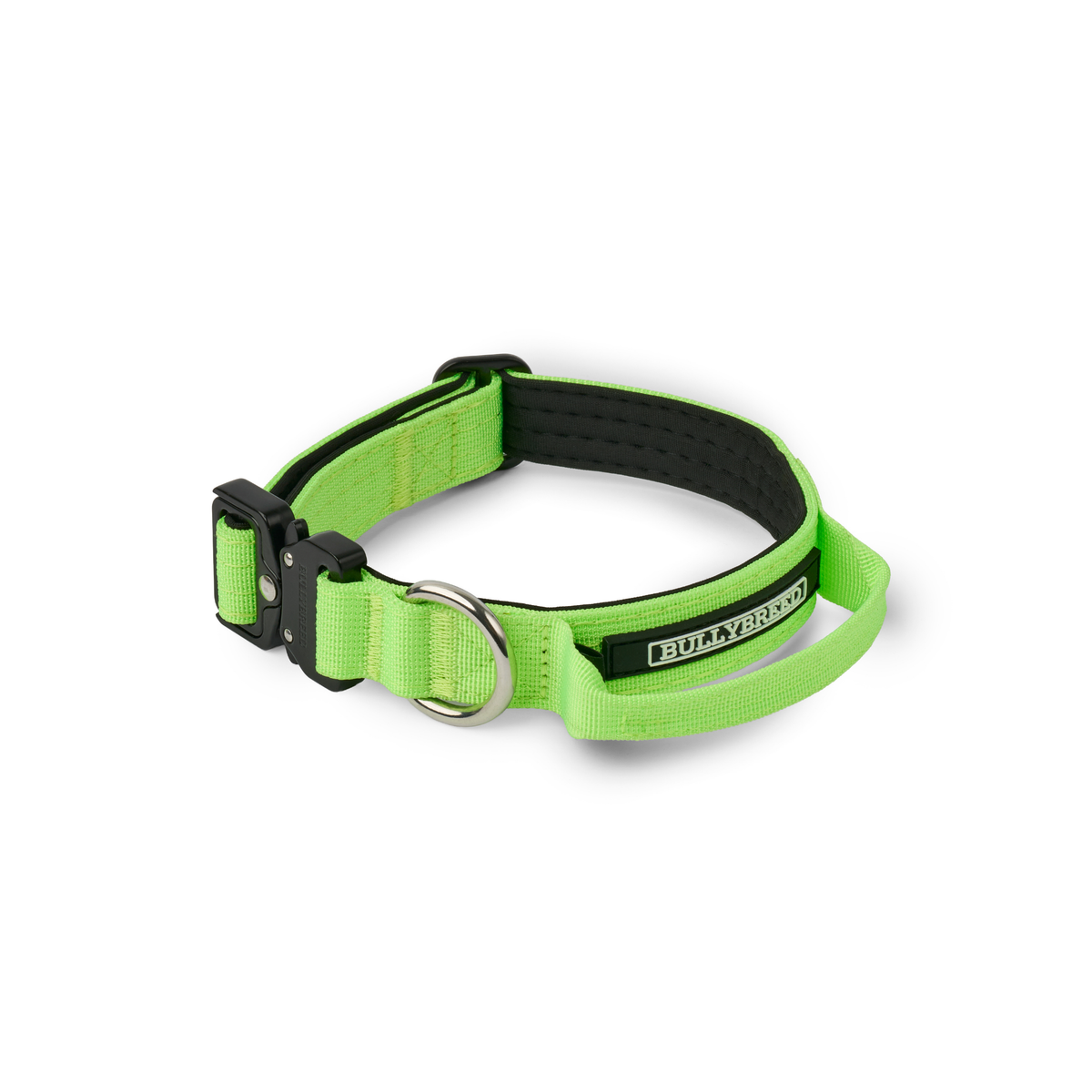 Heavy Duty Dog Collar with Handle | Small 1" (2.5 cm)