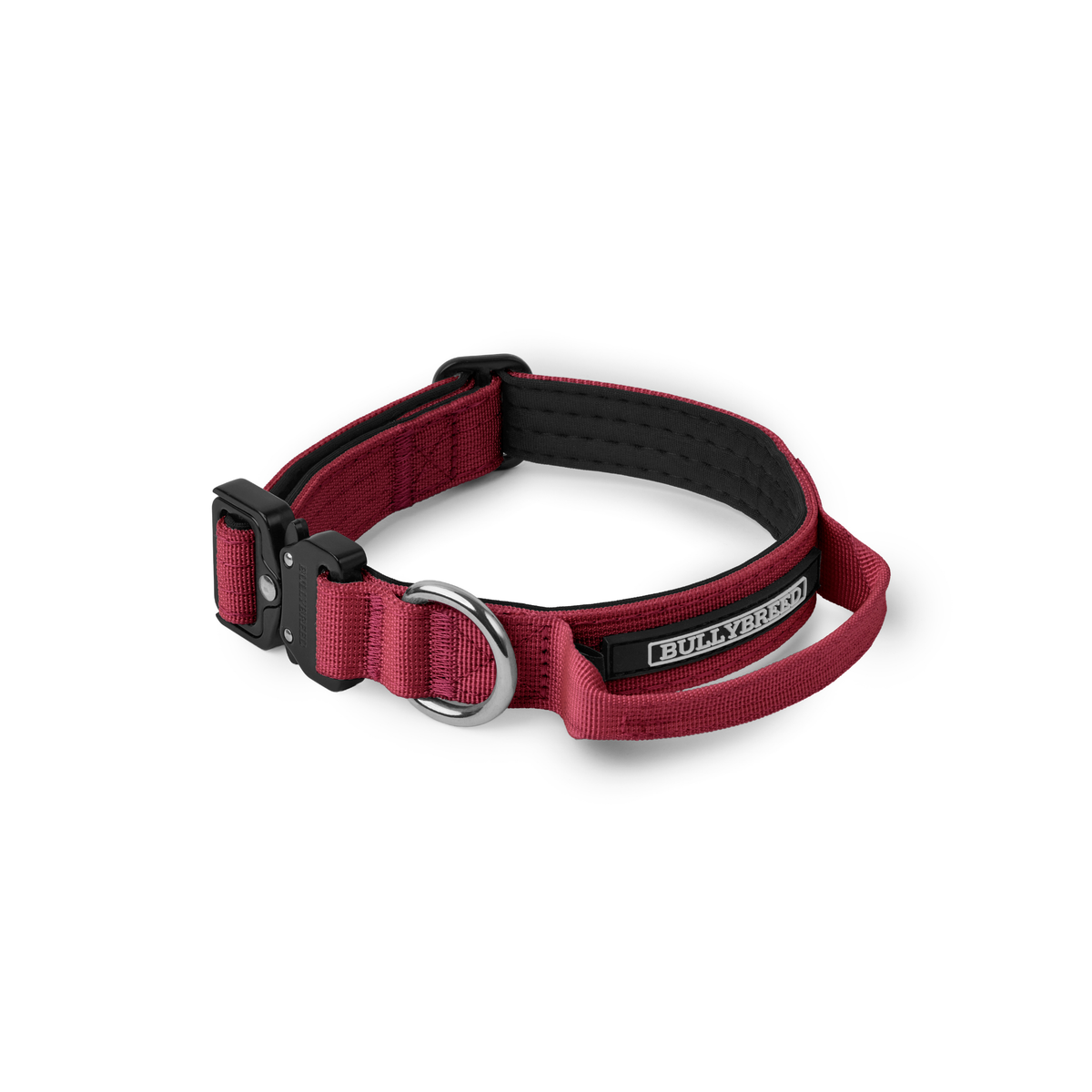Heavy Duty Dog Collar with Handle | Small 1" (2.5 cm)