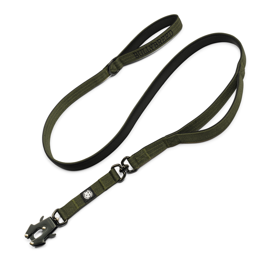 Heavy duty dog collar and double handle leash set