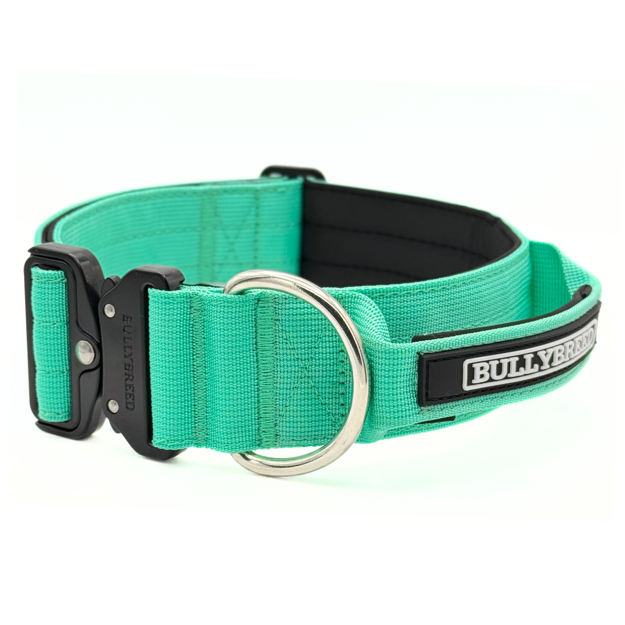 Heavy Duty Dog Collar with Handle | Large 2" (5 cm)