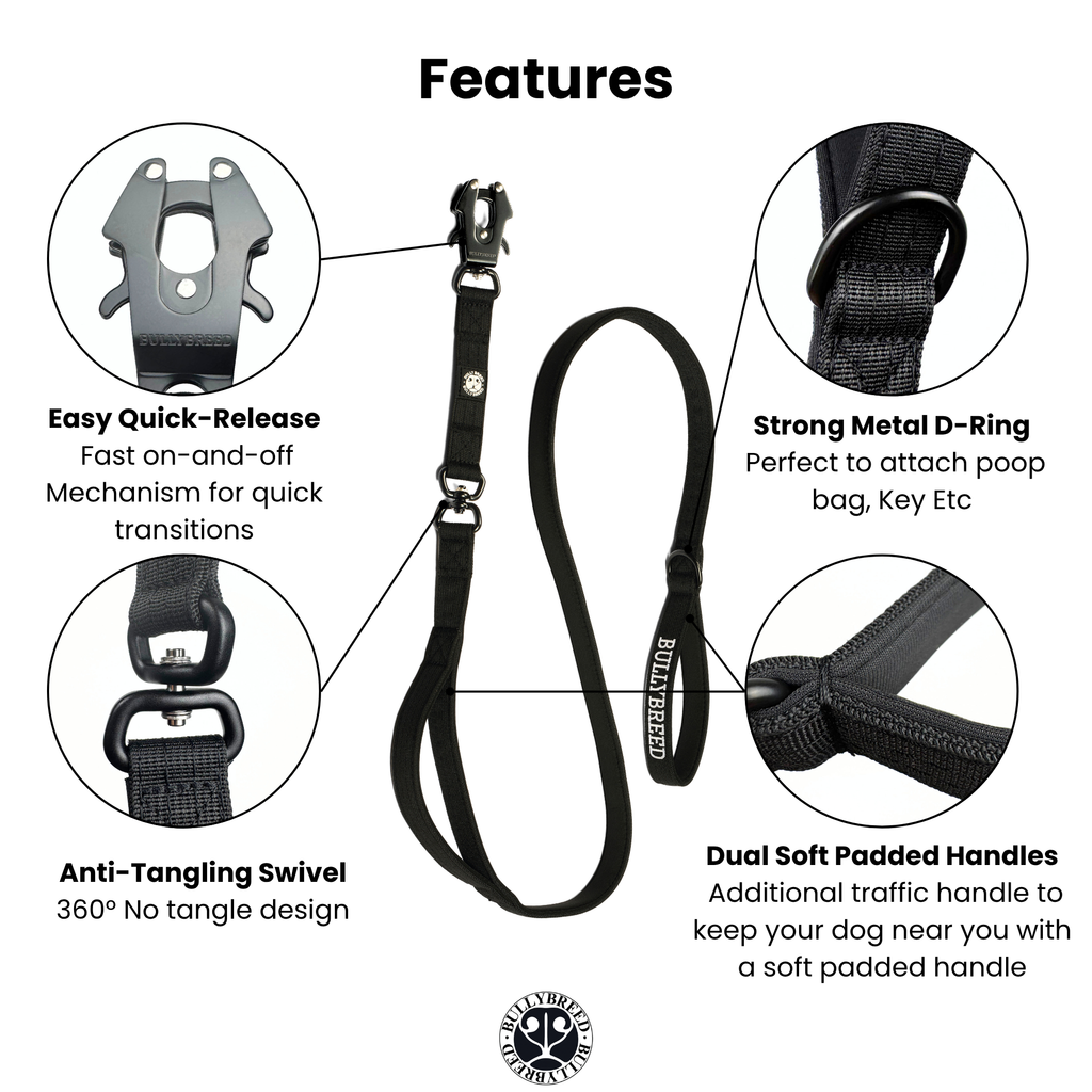 Double Handle Dog Leash 5 FT