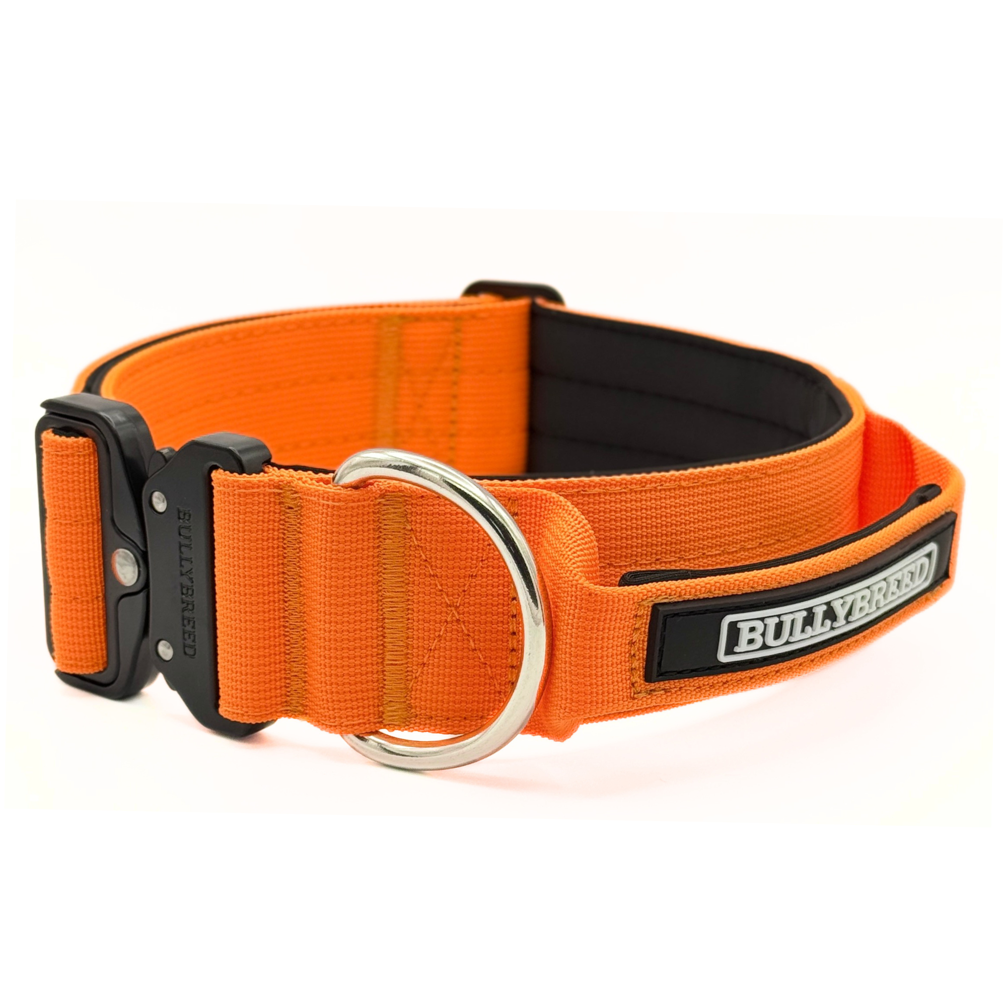 Heavy Duty Dog Collar with Handle | Large 2" (5 cm)
