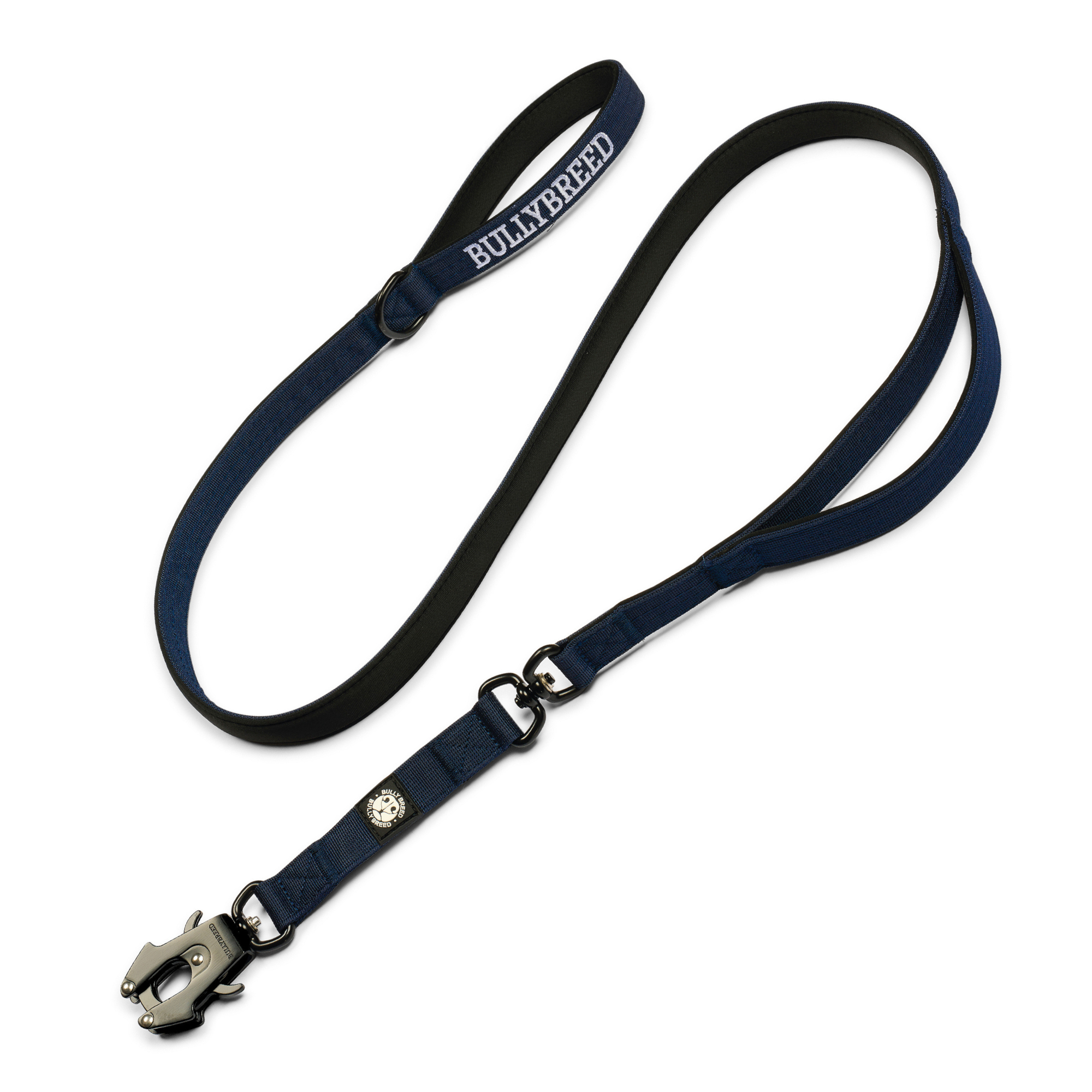 Blue dog leash with dual handle