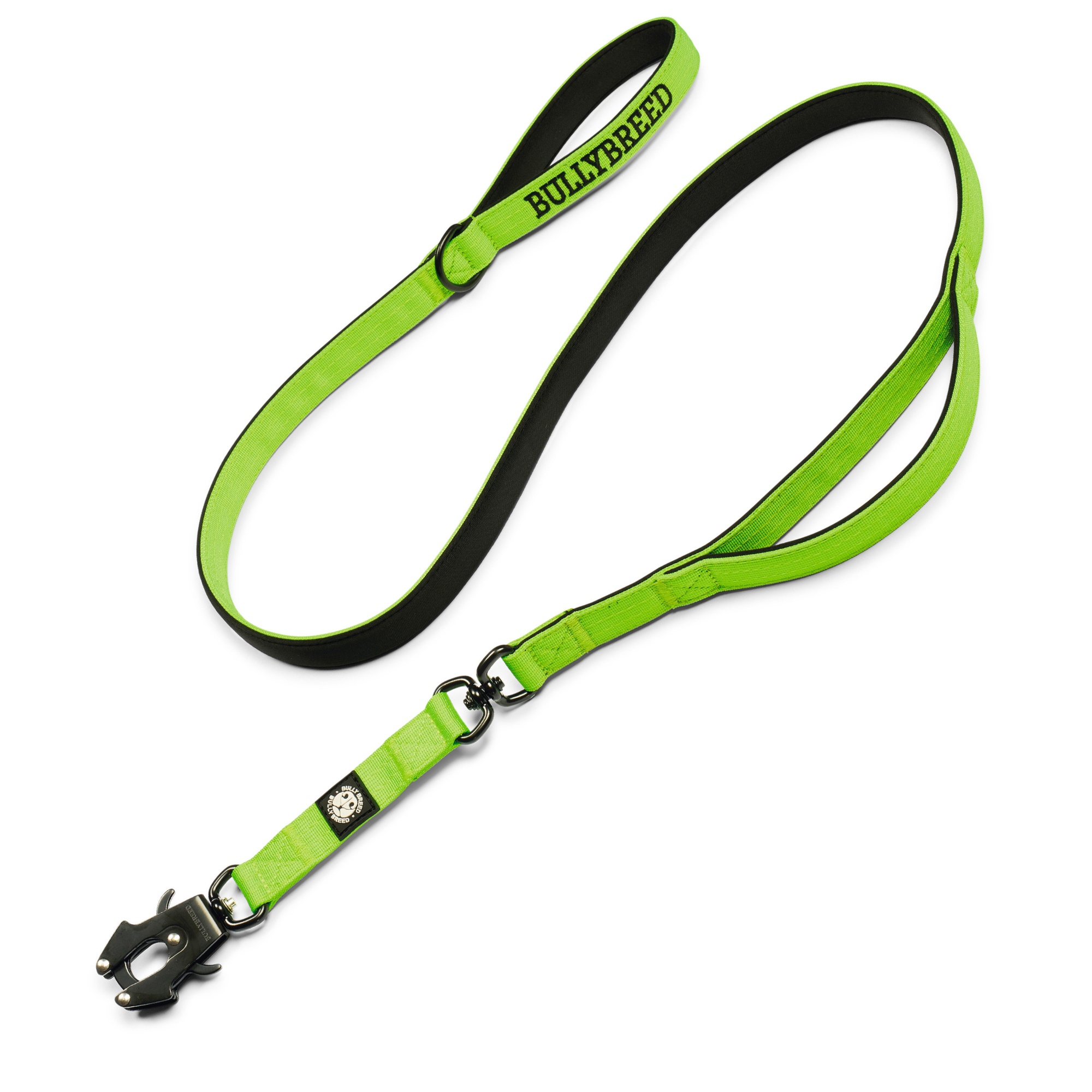 Green dog leash with black