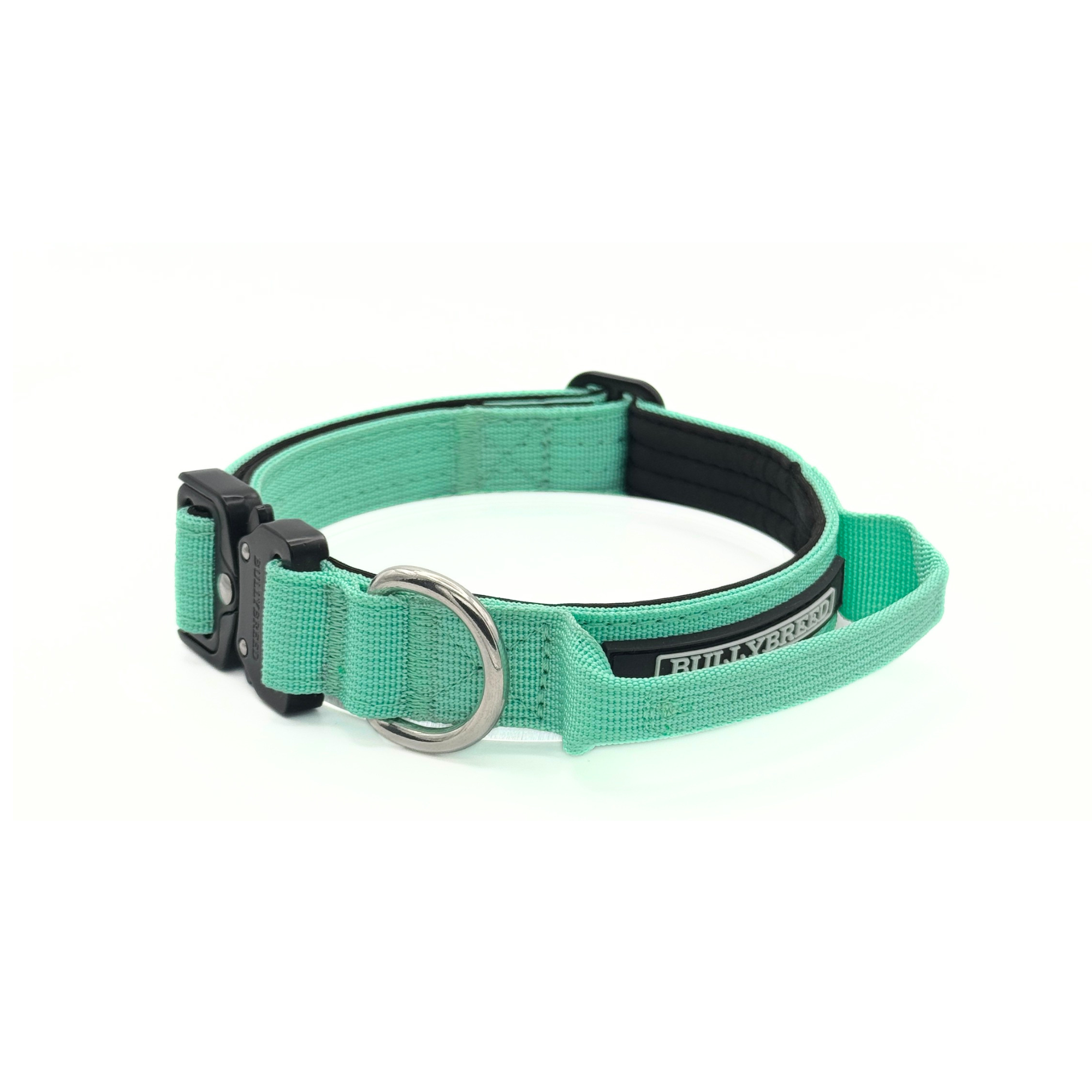 Heavy Duty Dog Collar with Handle | Small 1" (2.5 cm)