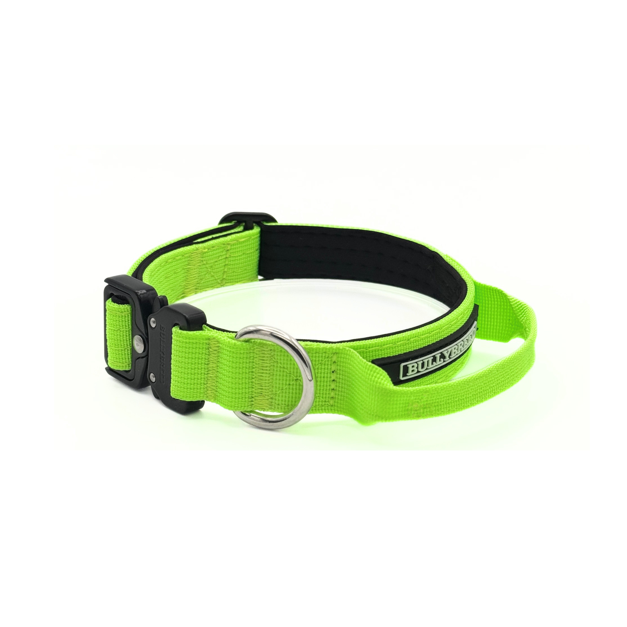 Heavy Duty Dog Collar with Handle | Small 1" (2.5 cm)