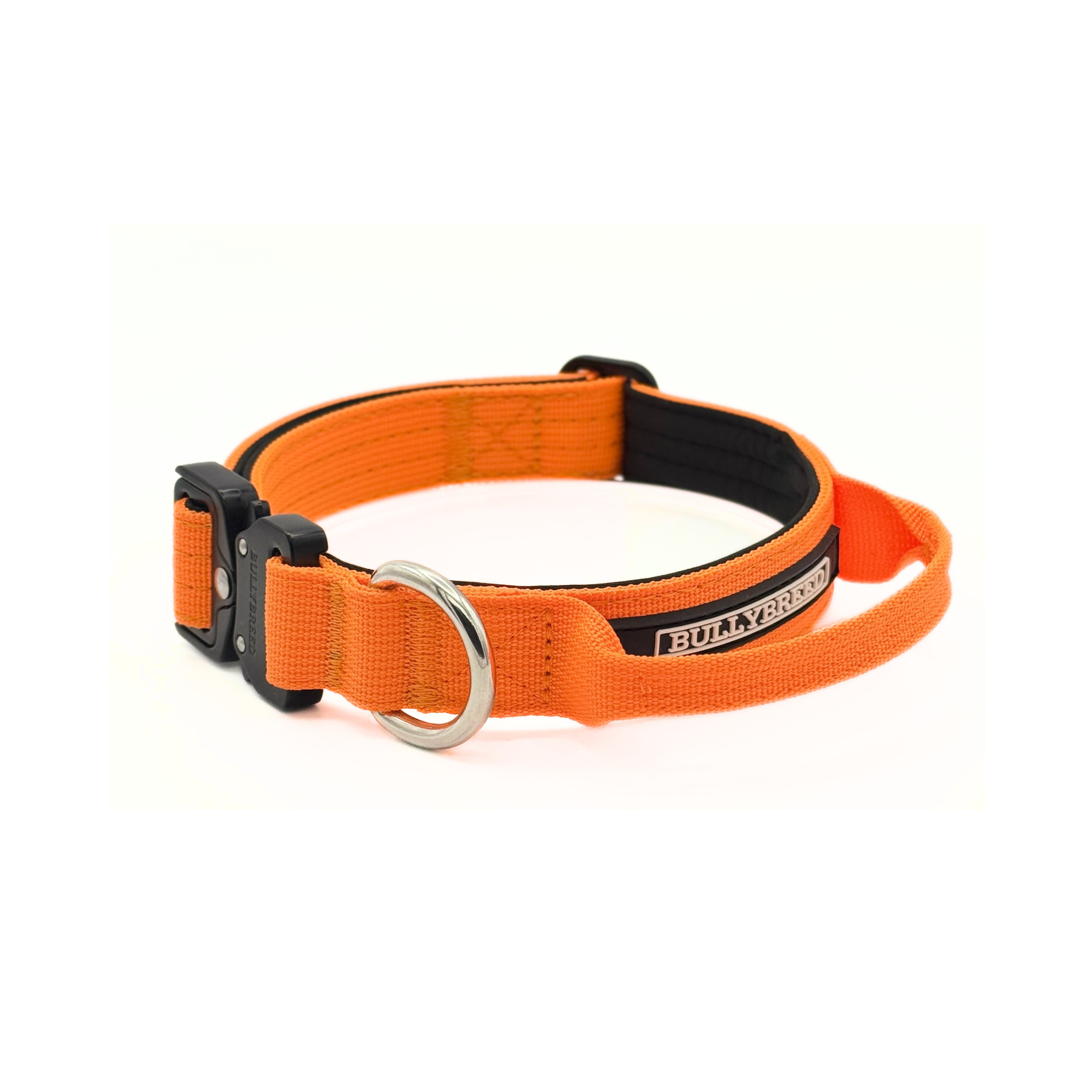 Heavy Duty Dog Collar with Handle | Small 1" (2.5 cm)