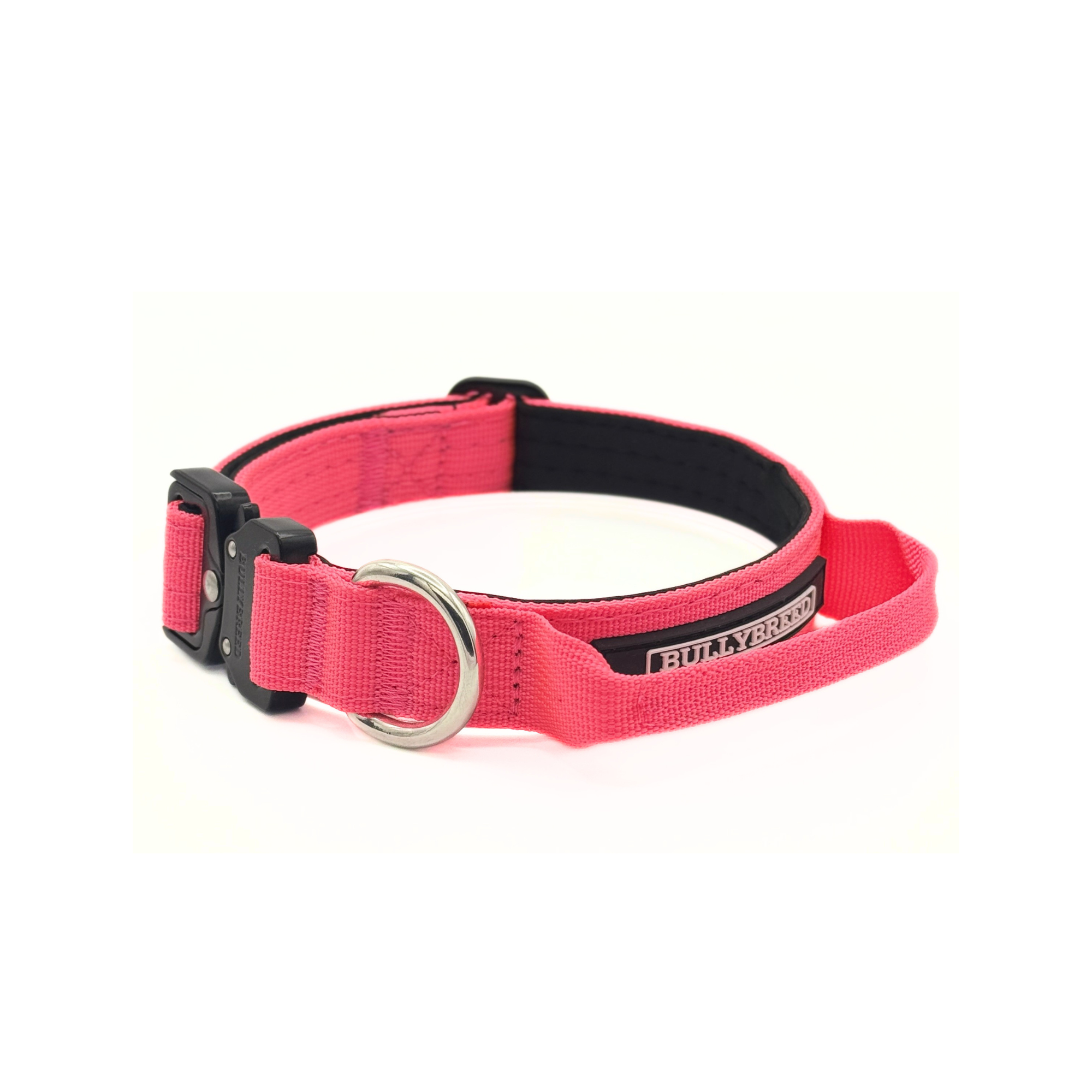 Heavy Duty Dog Collar with Handle | Small 1" (2.5 cm)