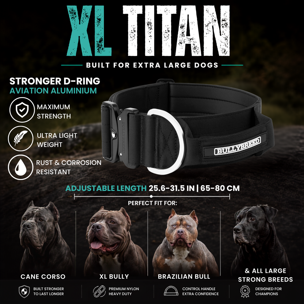 Heavy Duty Dog Collar with Handle | XL TITAN 2.7" (7 cm)