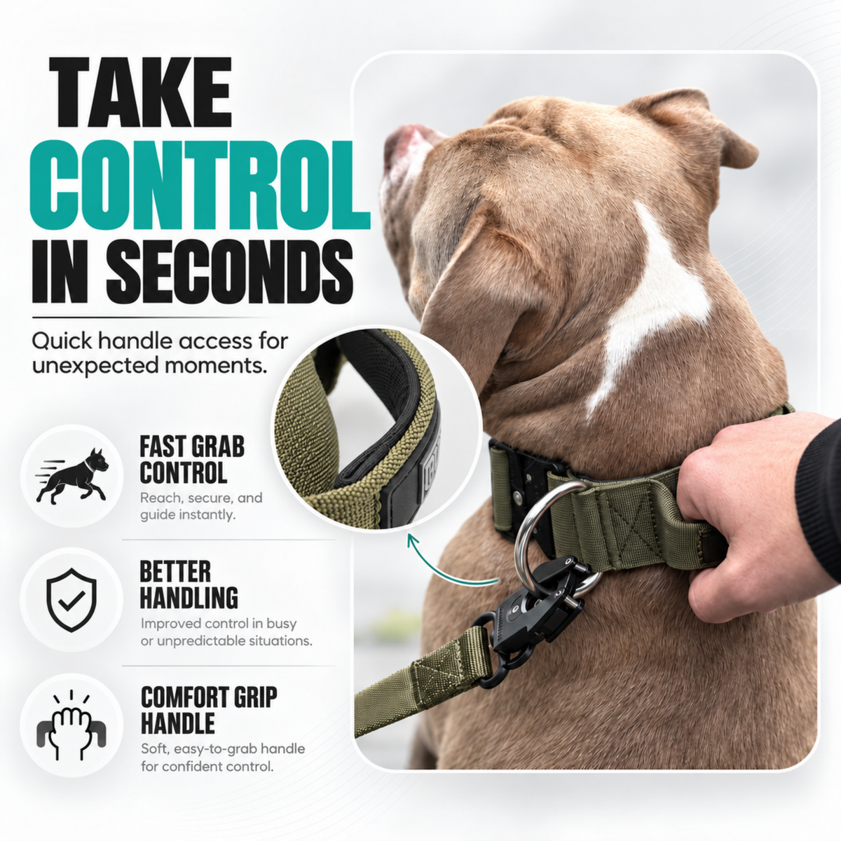 Heavy Duty Dog Collar with Handle | XL TITAN 2.7" (7 cm)