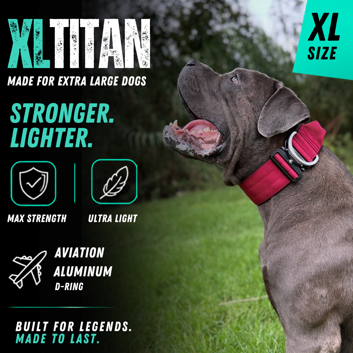 Heavy Duty Dog Collar with Handle | XL TITAN 2.7" (7 cm)
